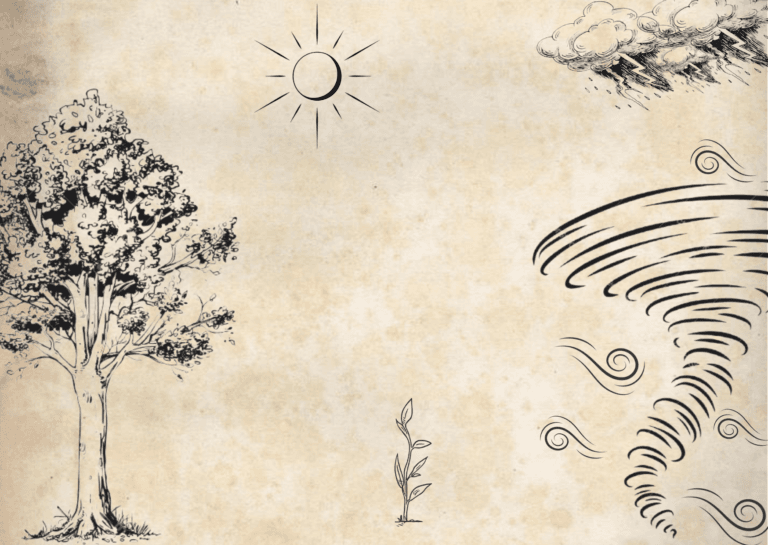 A powerful story about the sun’s unwavering resilience in the face of criticism, teaching us to stand our ground, shine brighter, and never let negativity push us away from our path.